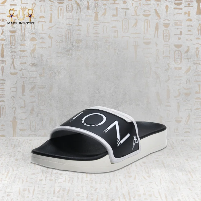 Icon Style Slides - Image 10