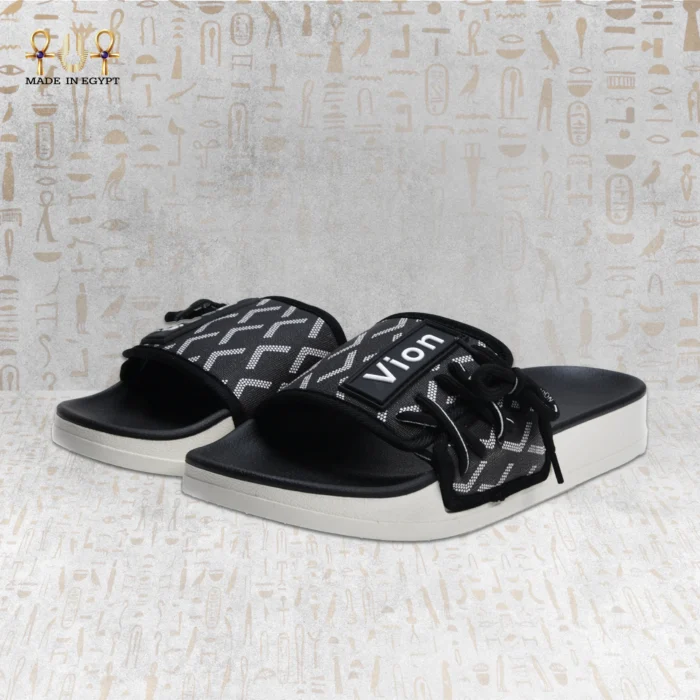 Vion Track Slides - Image 18