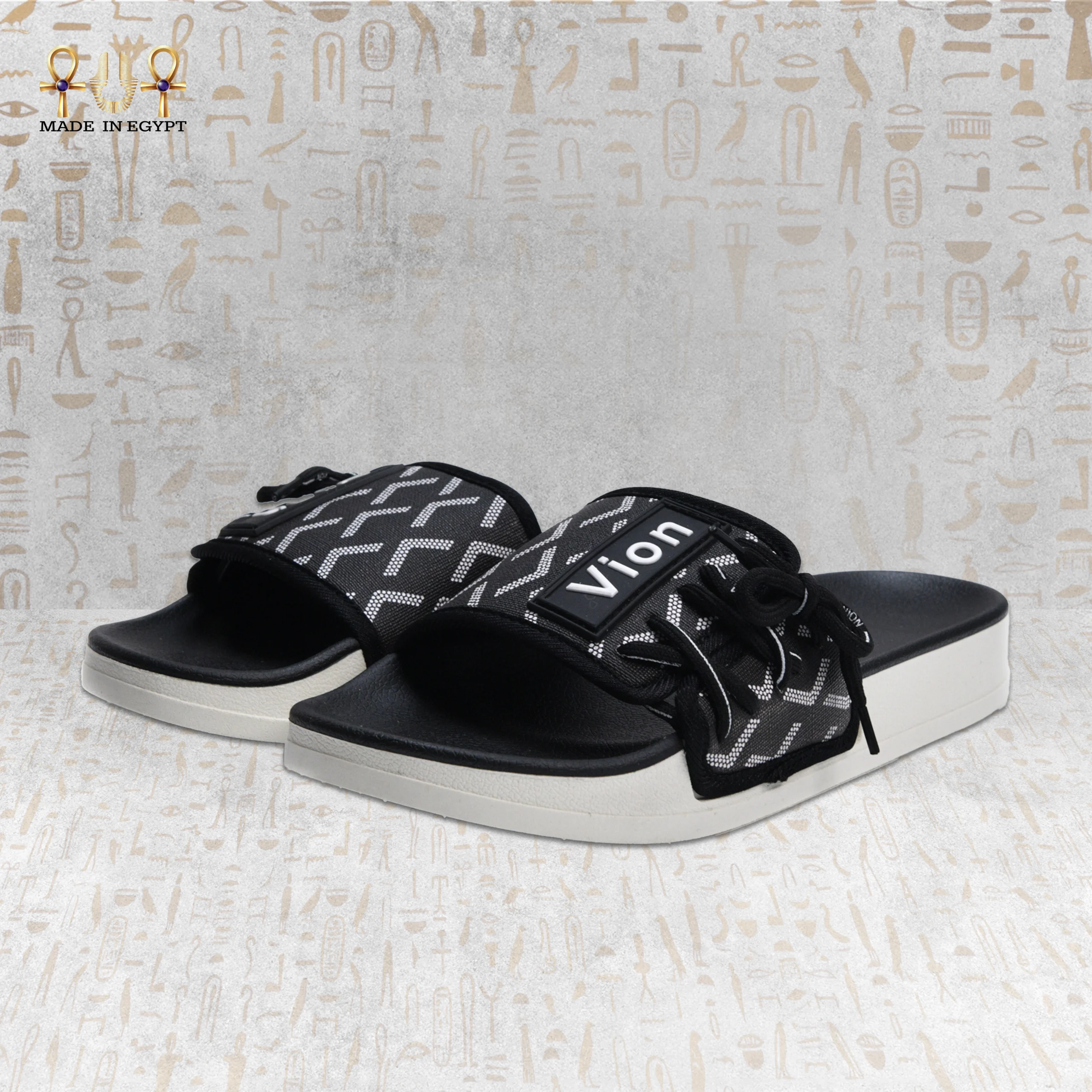 @6 Vion Track Slides