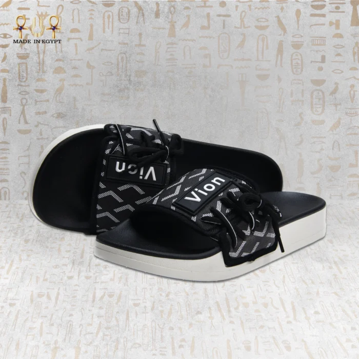 Vion Track Slides - Image 17