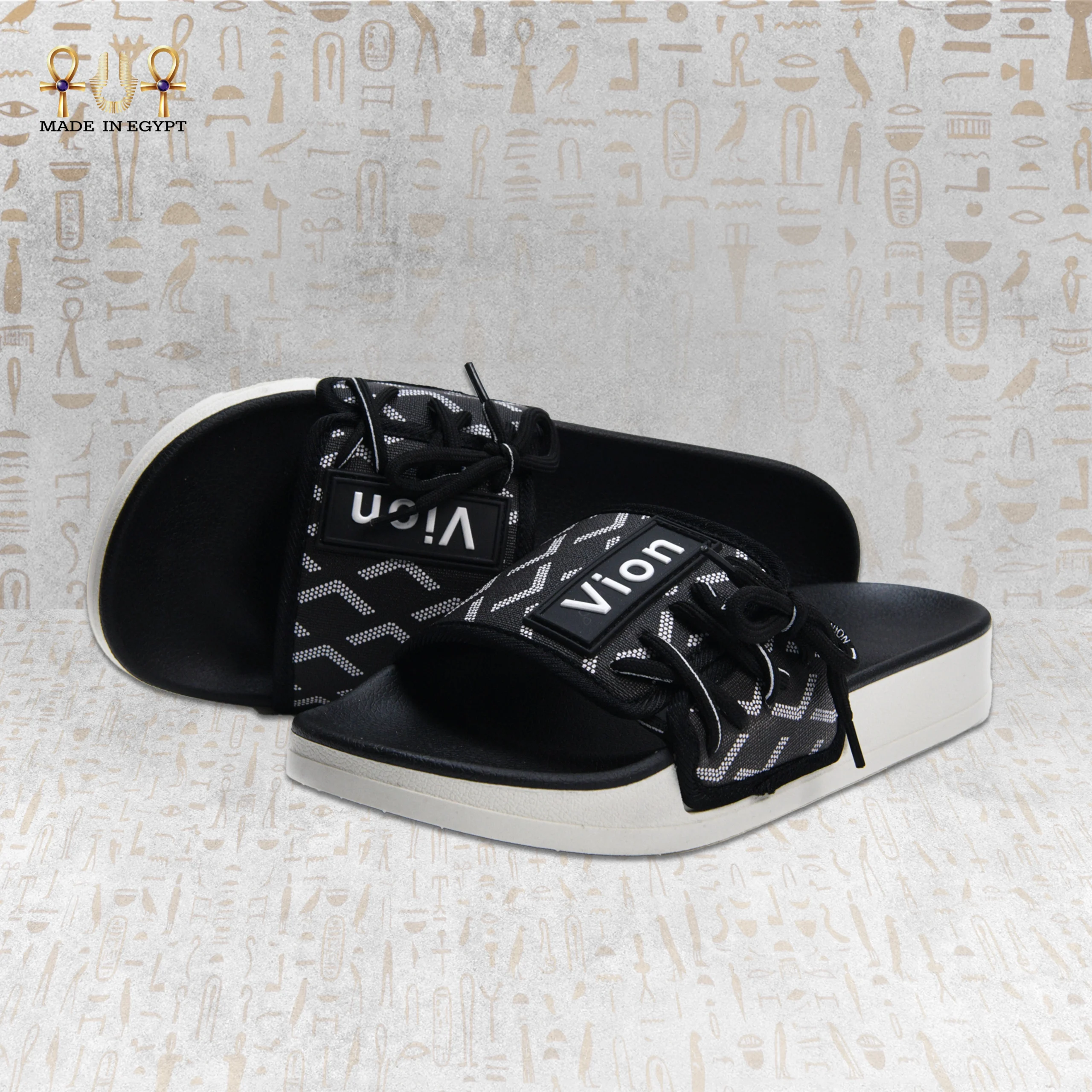 @6A Vion Track Slides