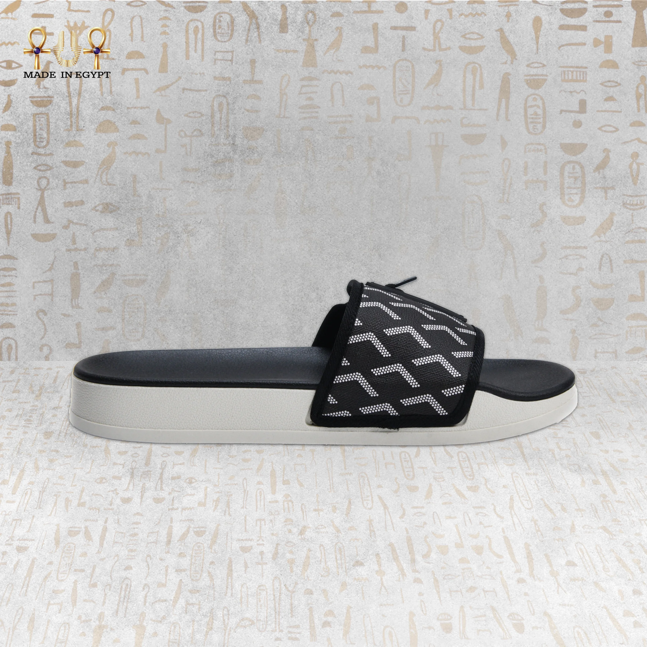 @6B Vion Track Slides