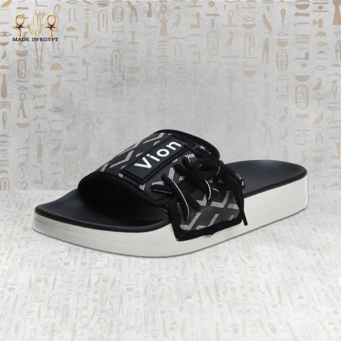 Vion Track Slides - Image 15