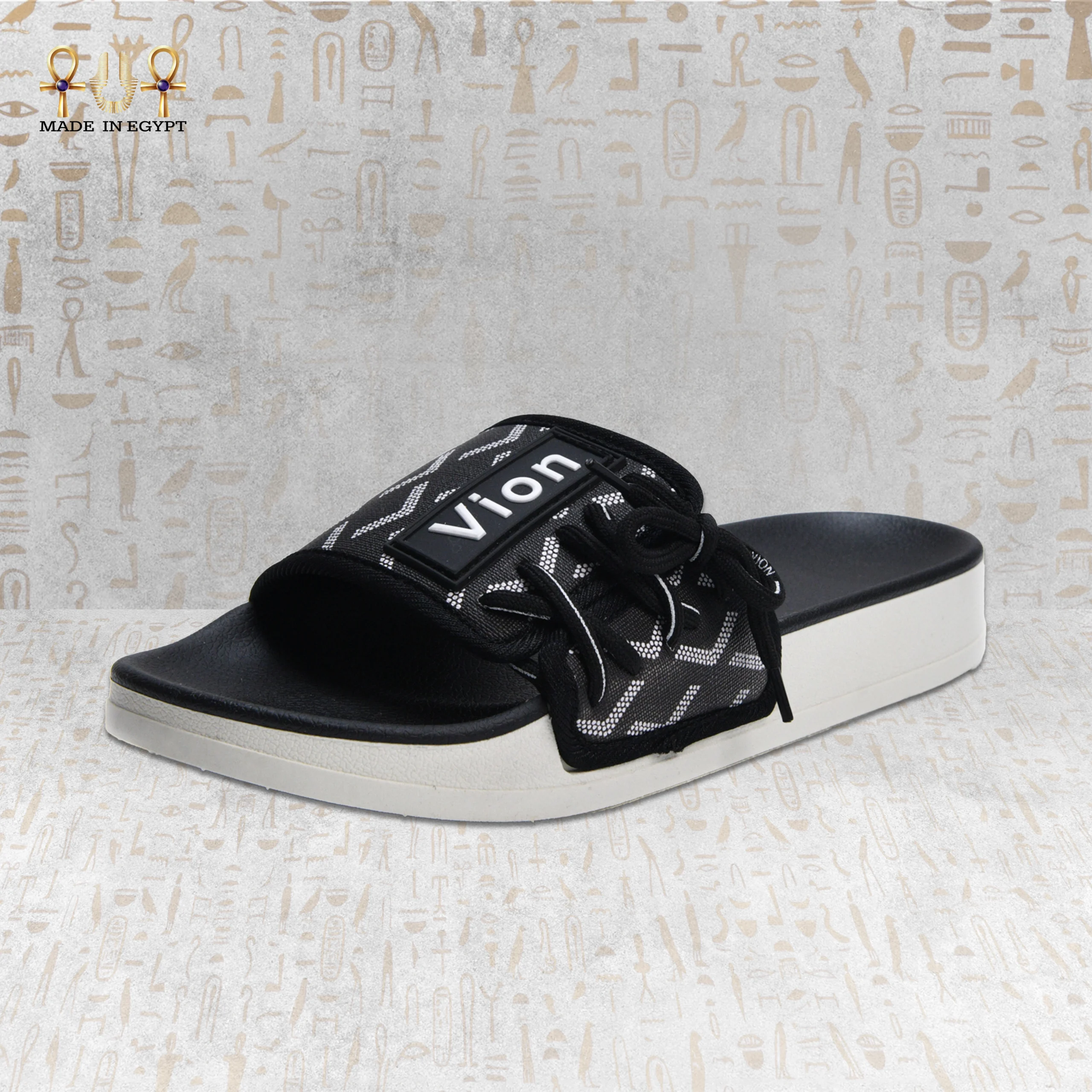 @6C Vion Track Slides