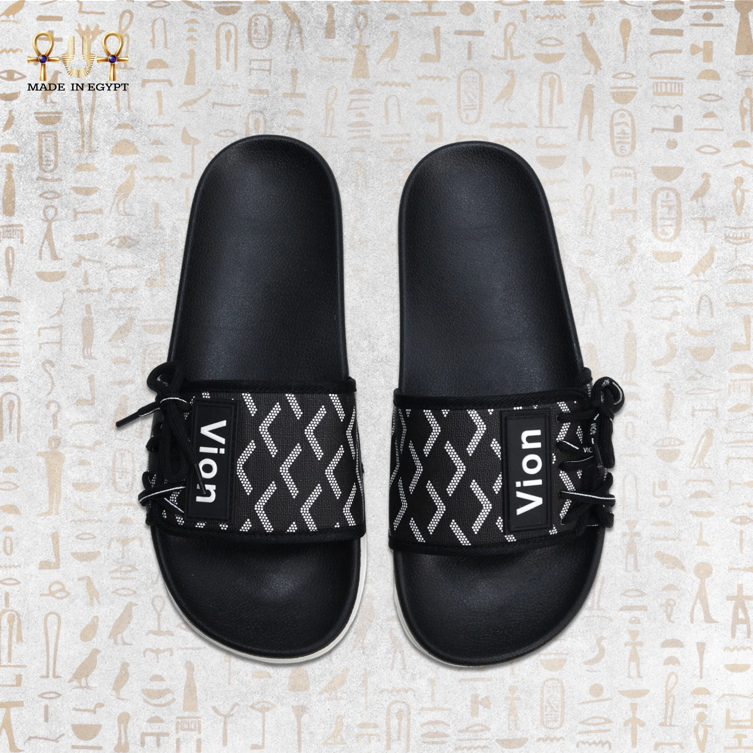 @6D Vion Track Slides