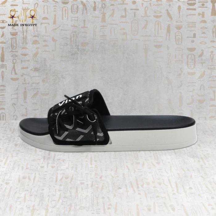 Vion Track Slides - Image 13