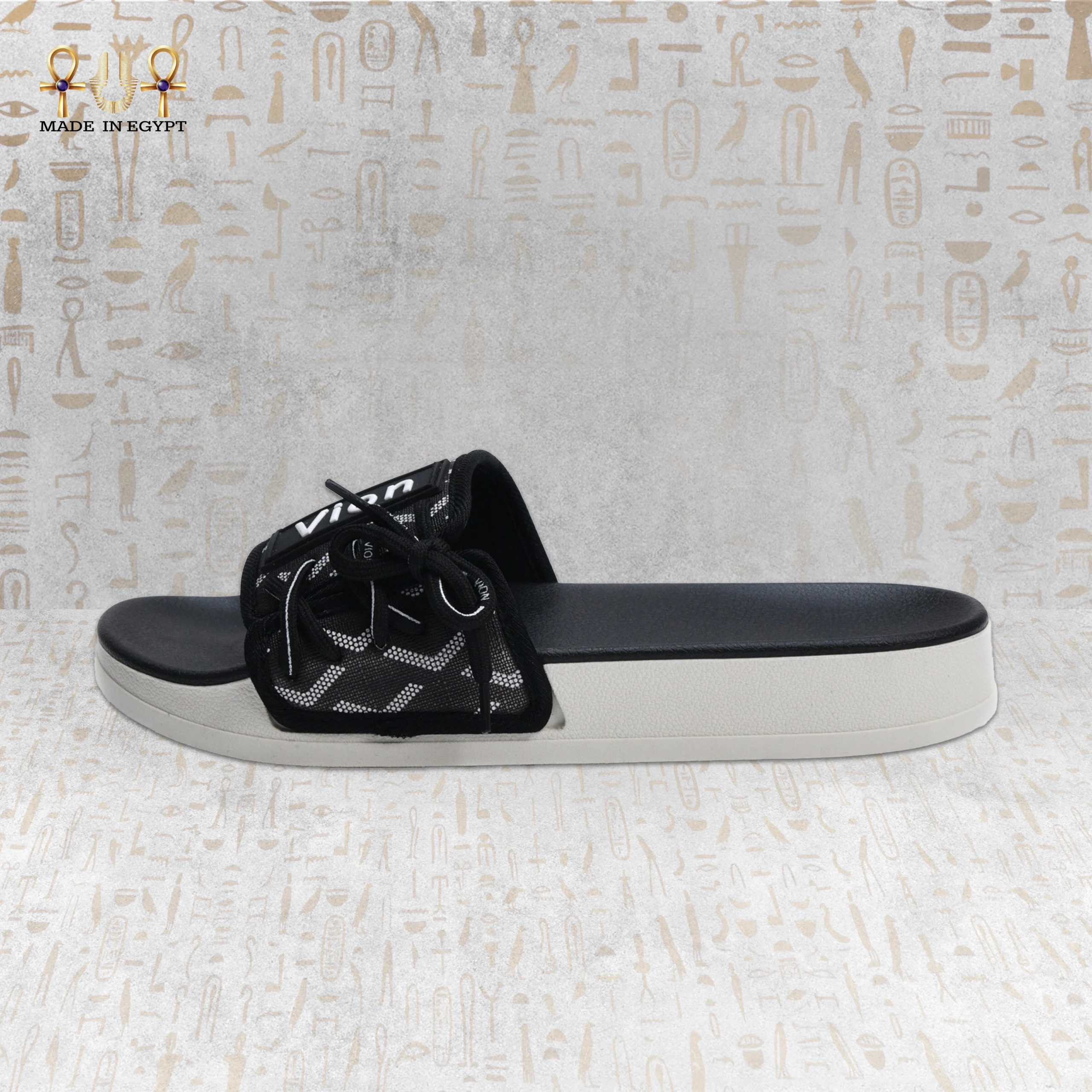 @6E Vion Track Slides