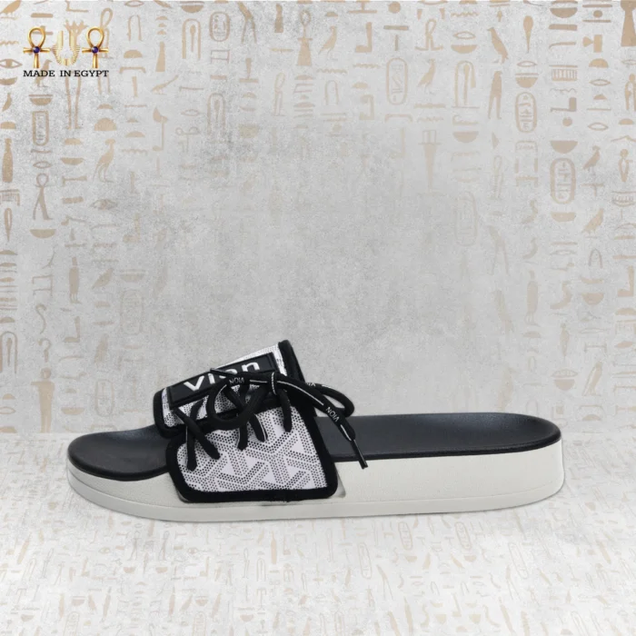 Vion Track Slides - Image 12