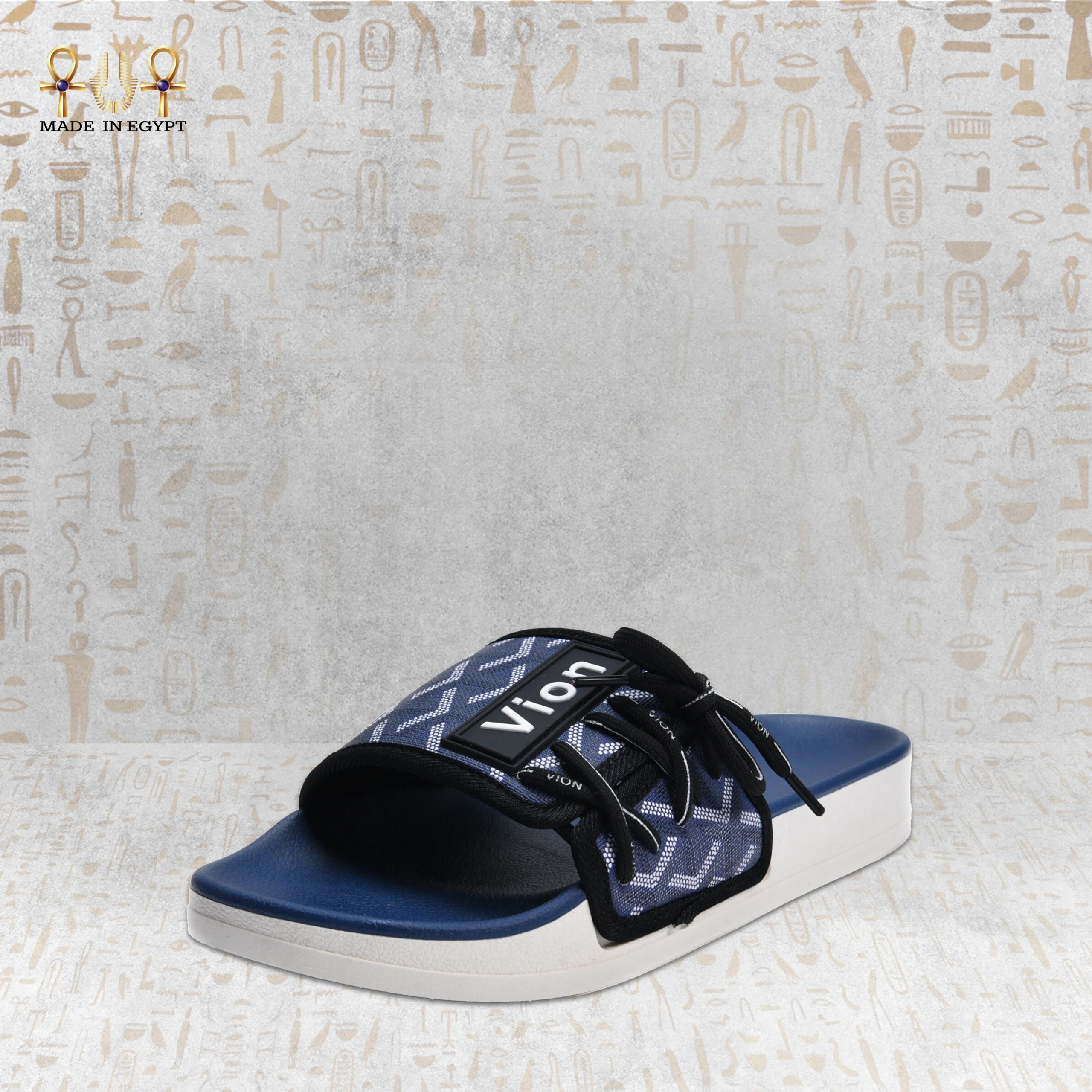 @6G Vion Track Slides