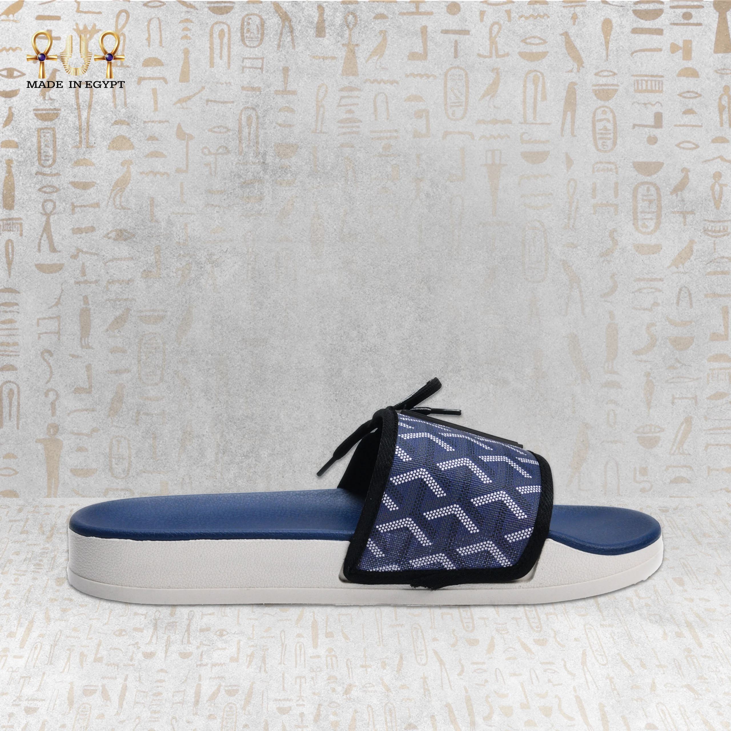 @6H Vion Track Slides