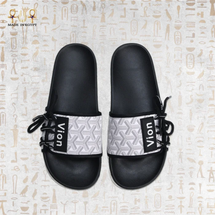 Vion Track Slides - Image 9