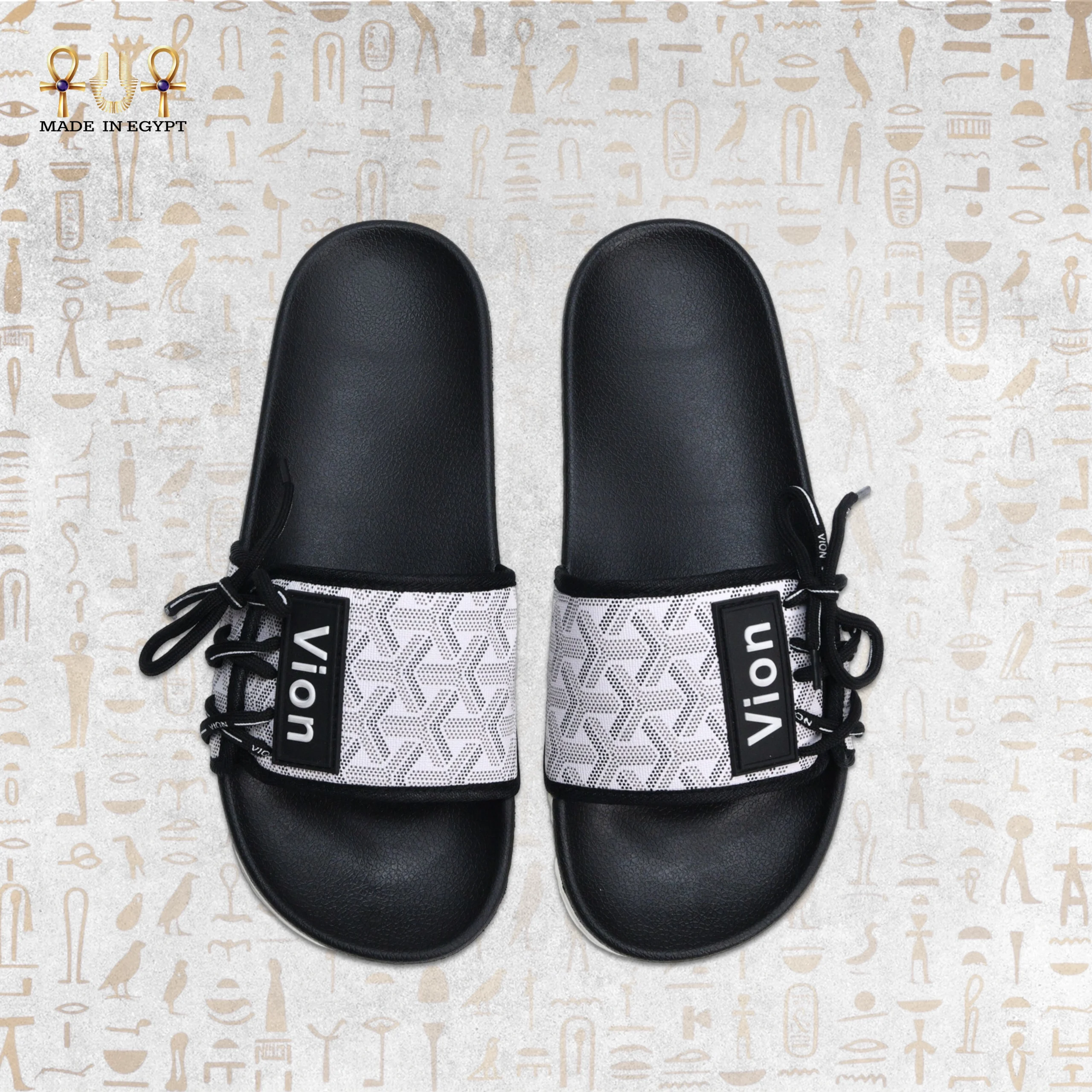 @6I Vion Track Slides