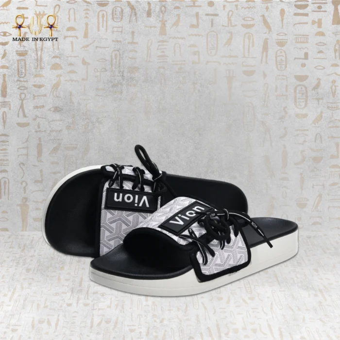 Vion Track Slides - Image 8