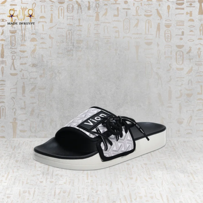 Vion Track Slides - Image 6