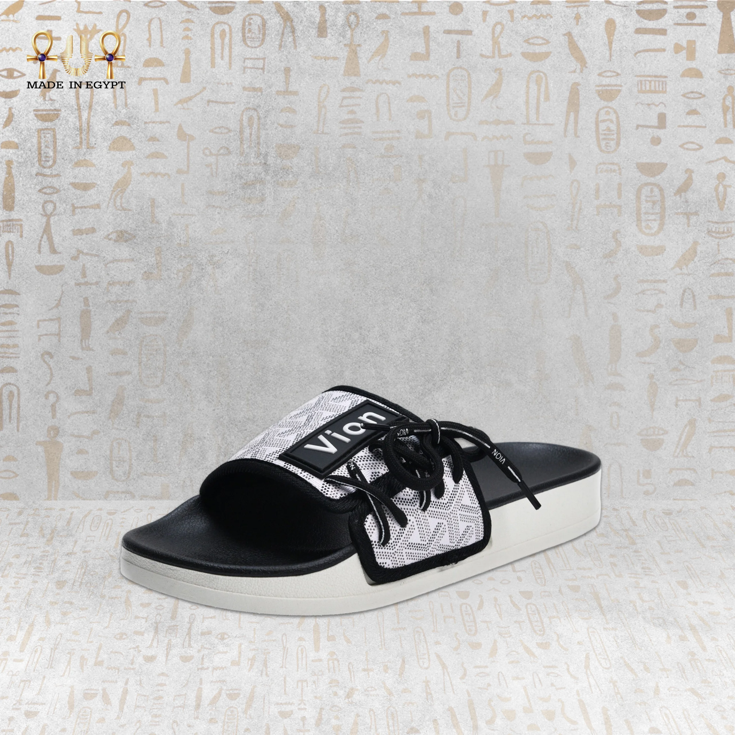 @6L Vion Track Slides