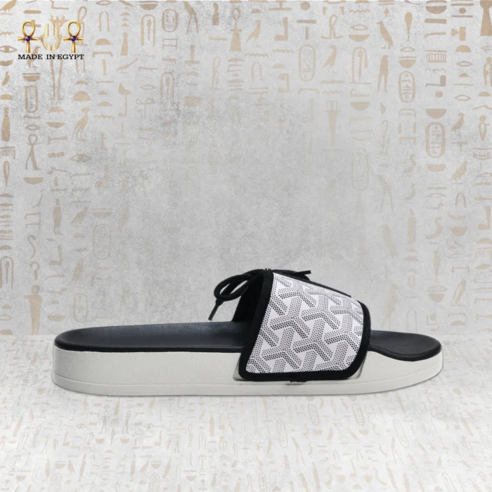 Vion Track Slides - Image 5