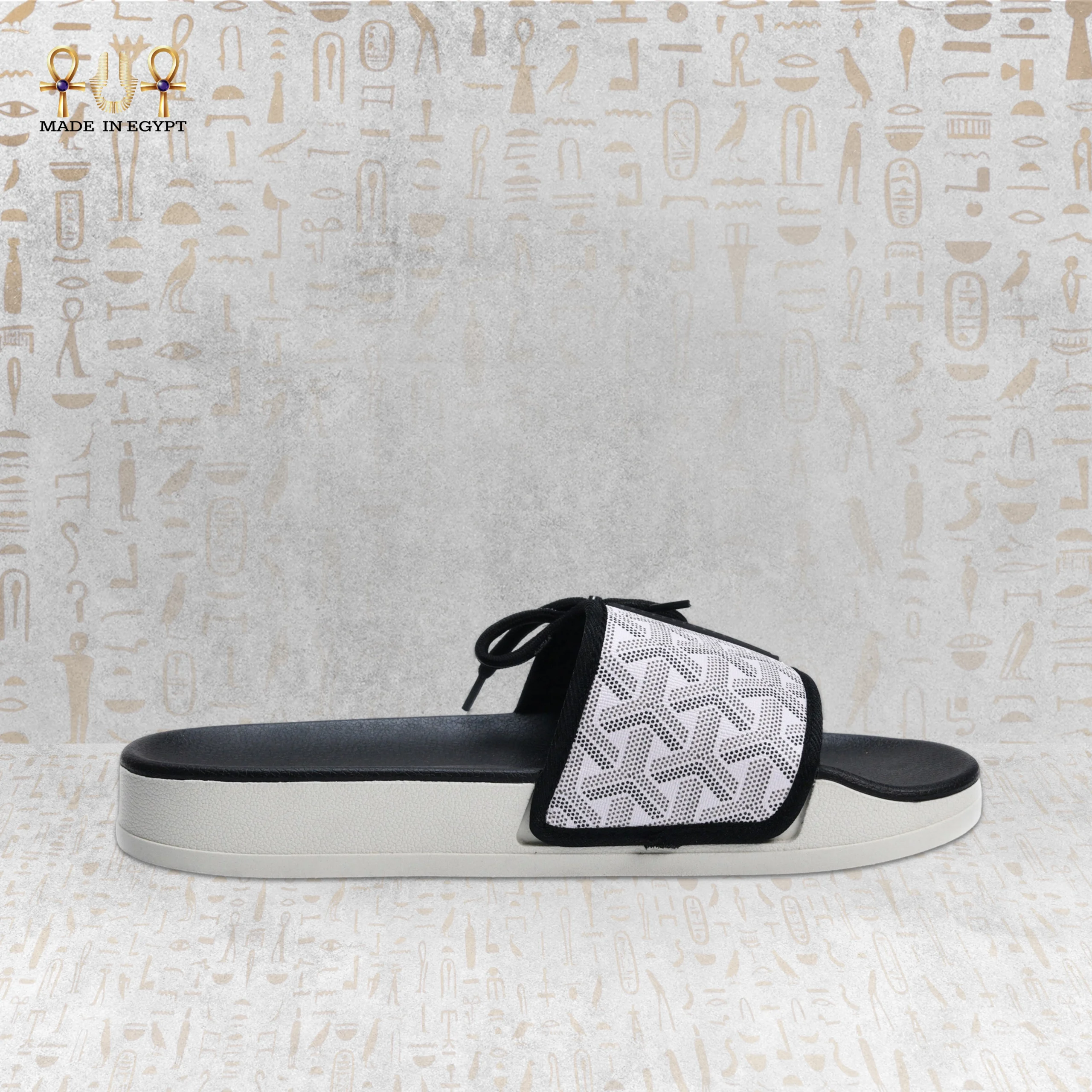 @6M Vion Track Slides