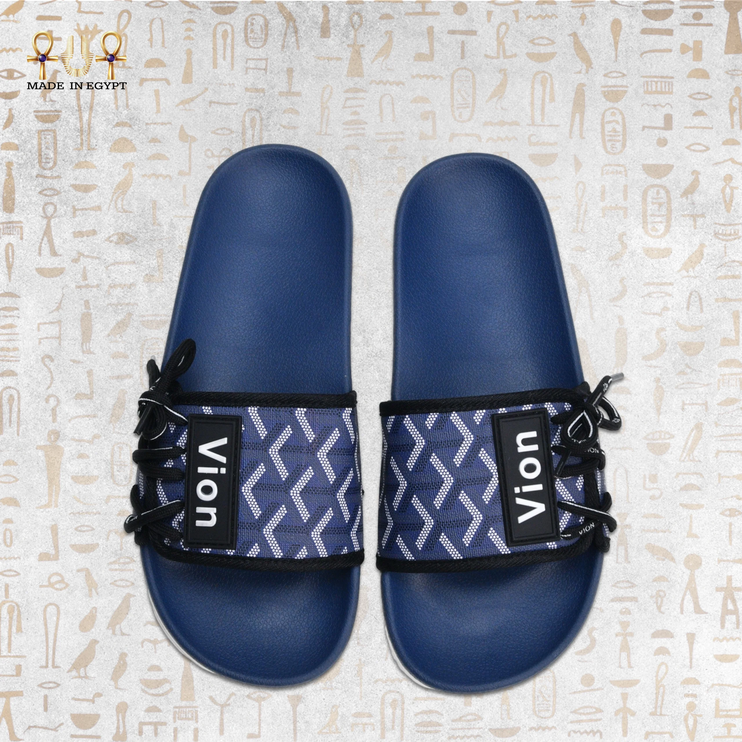 @6N Vion Track Slides