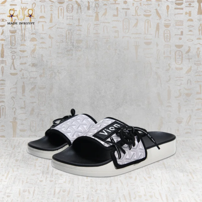 Vion Track Slides - Image 4