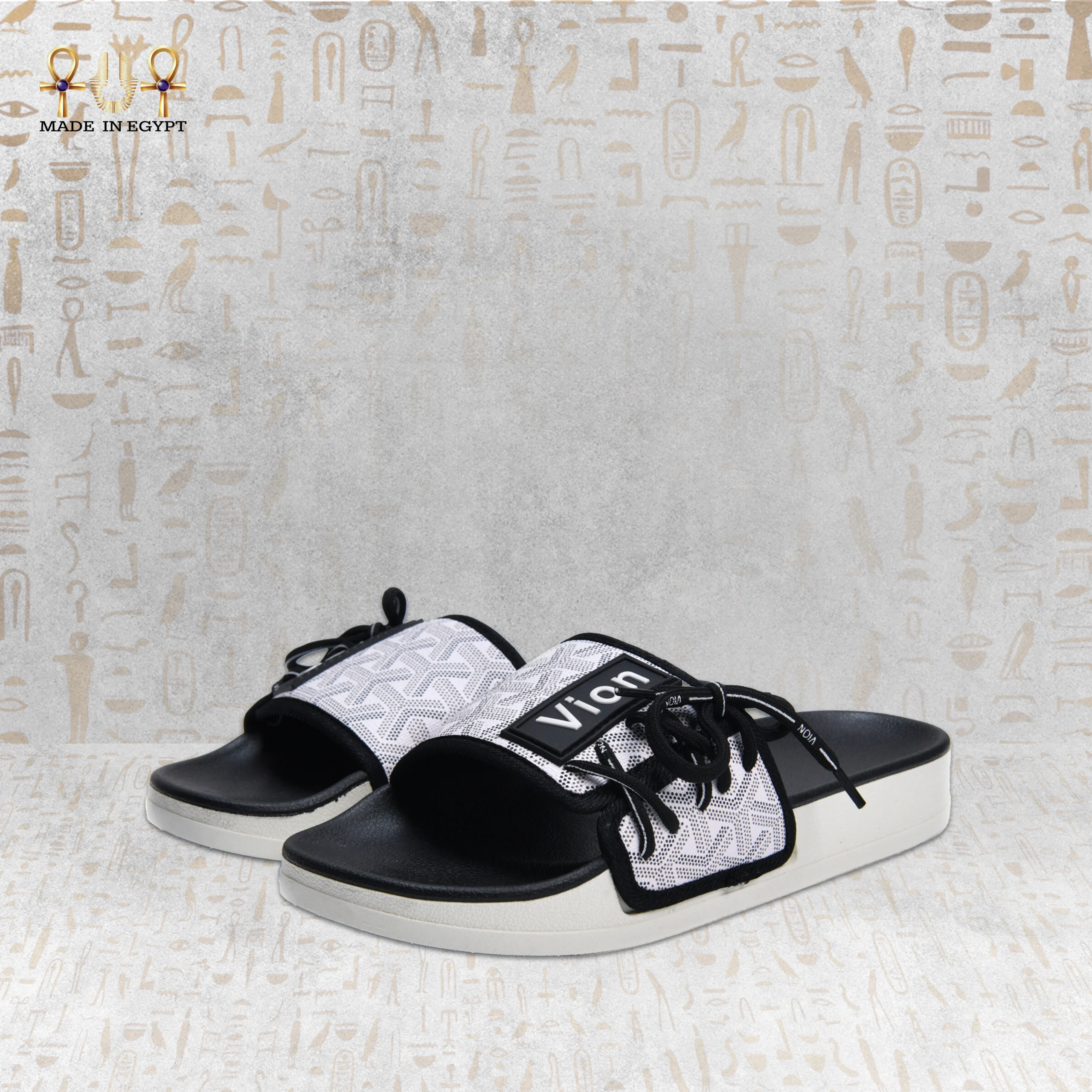 @6O Vion Track Slides