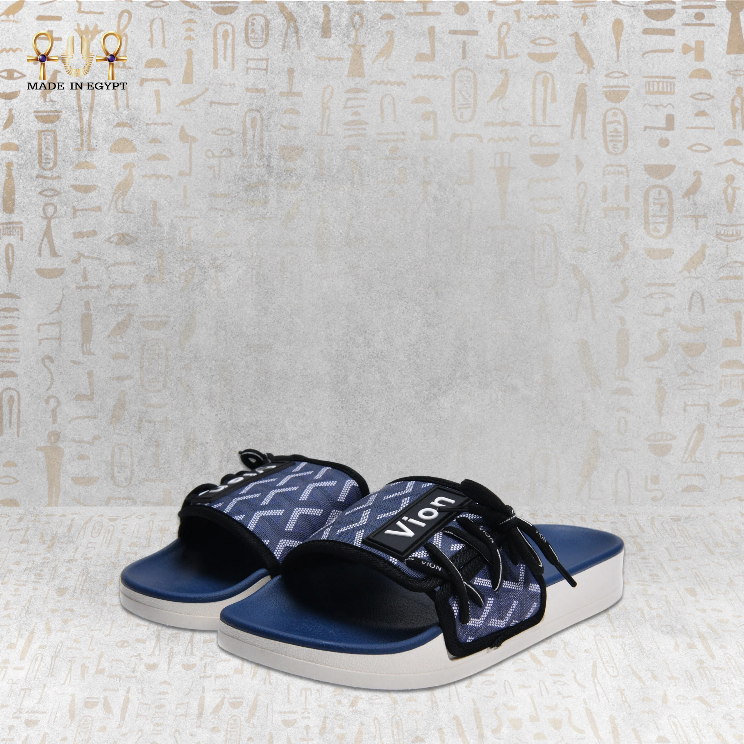 @6R Vion Track Slides