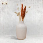 Summer Set - Image 2