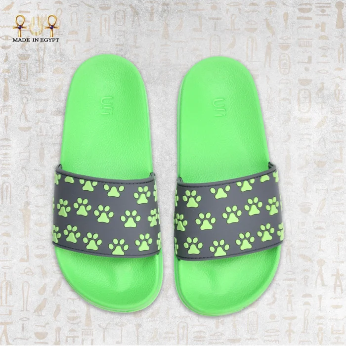 Paw Step Slides - Image 7