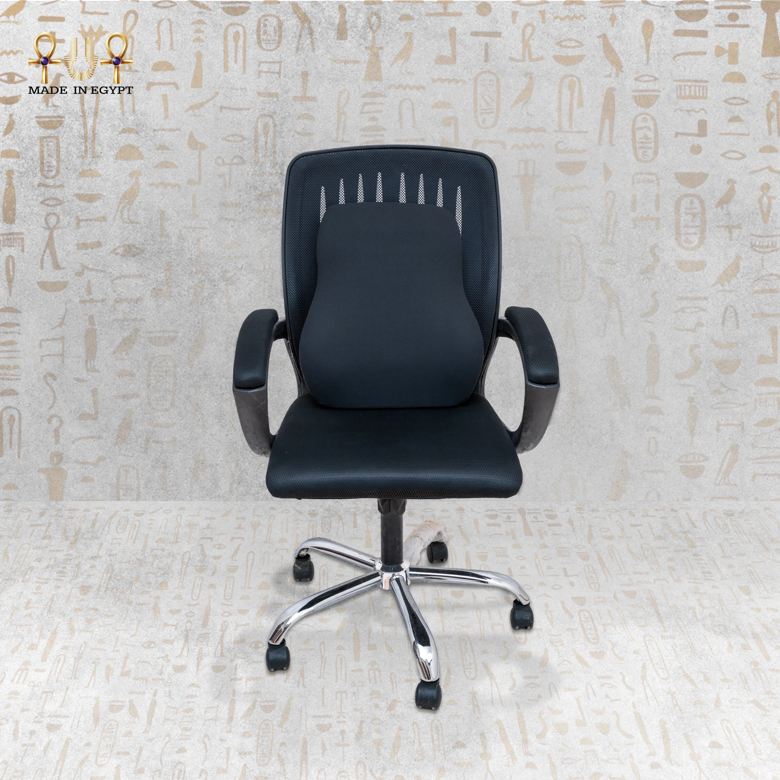 _E-1 Full Lumbar Support Cushion_@4D