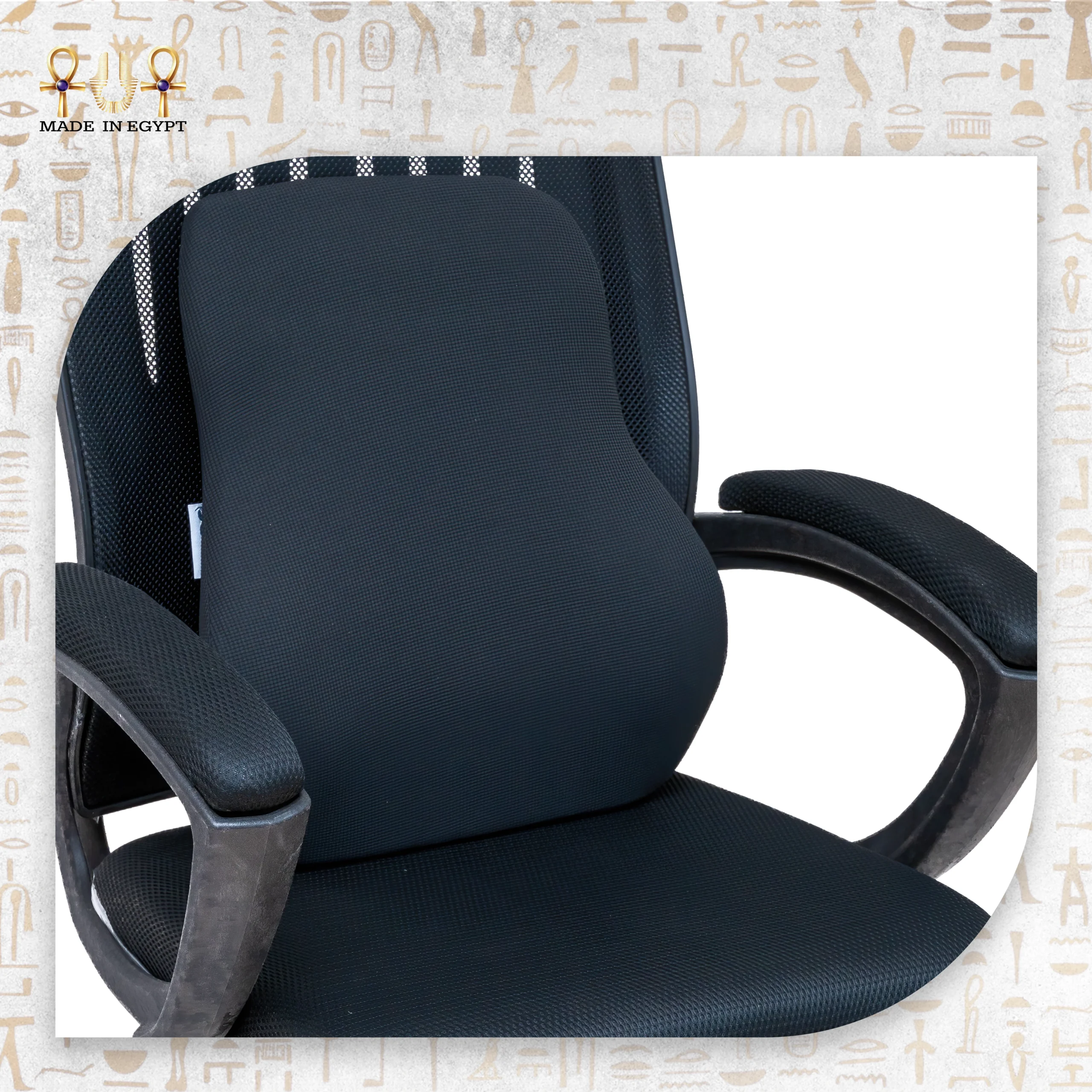 _E-1 Full Lumbar Support Cushion_@4E