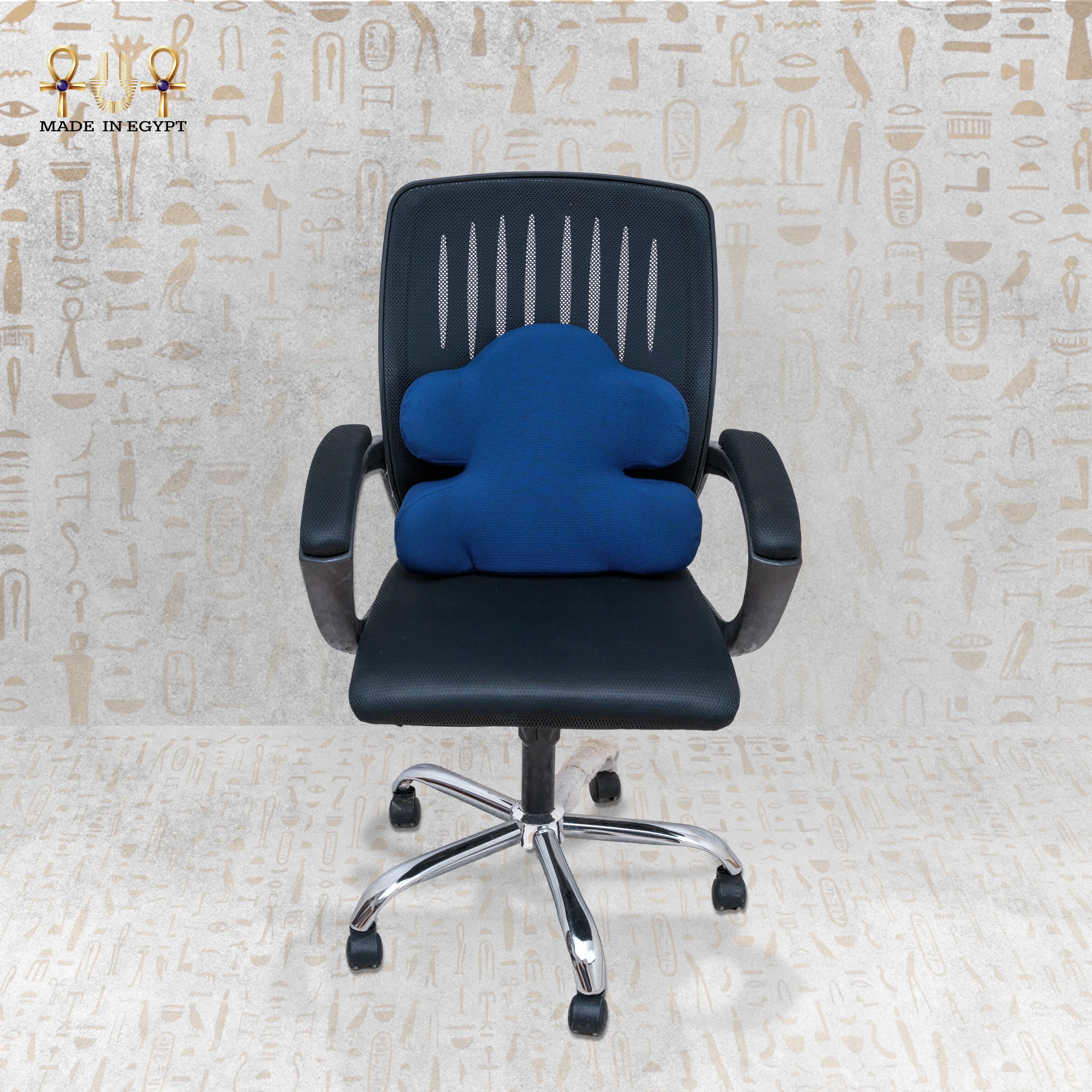 E-3 Lumbar Support Cushion@2A