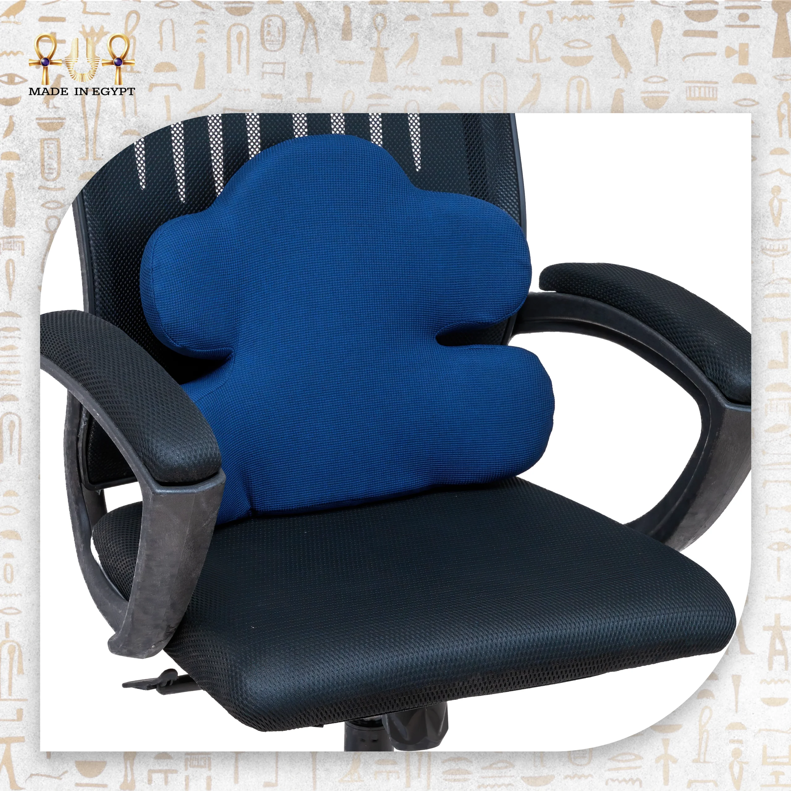 E-3 Lumbar Support Cushion@2B