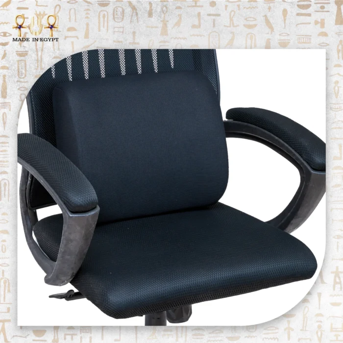 E-4 Lumbar Support Cushion - Image 4