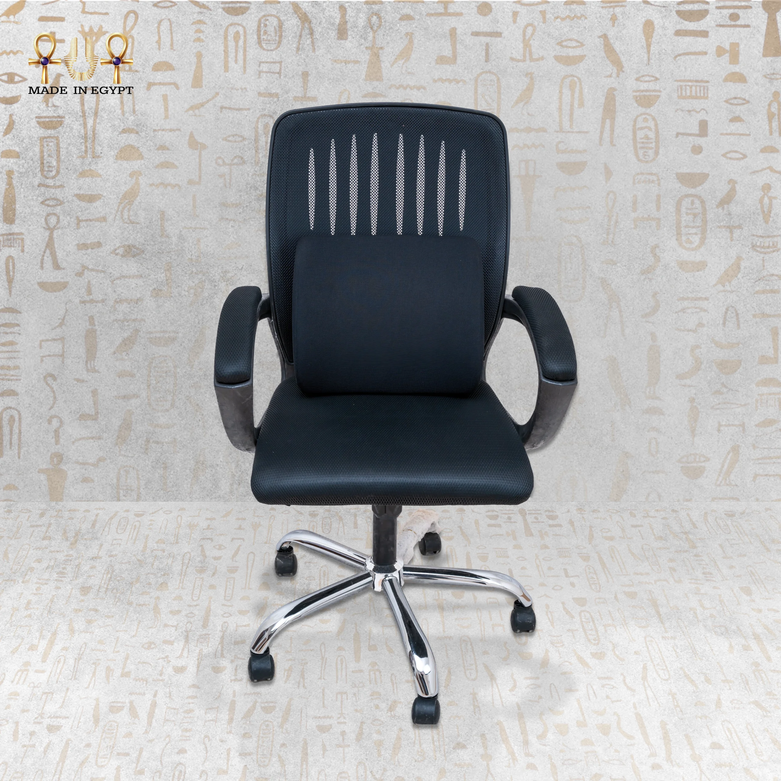 _E-4 Lumbar Support Cushion_@3E