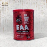 ماكس جينر باور