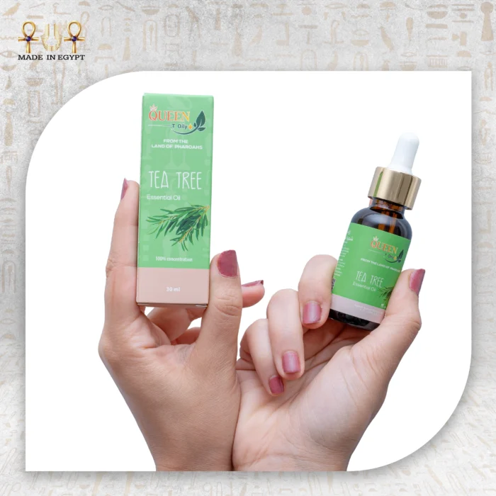 Queen Tea Tree Essential Oil 30ml bottle and packaging box, held in hands.