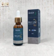 Queen Wheat Germ Essential Oil 30ml in a dropper bottle with box packaging