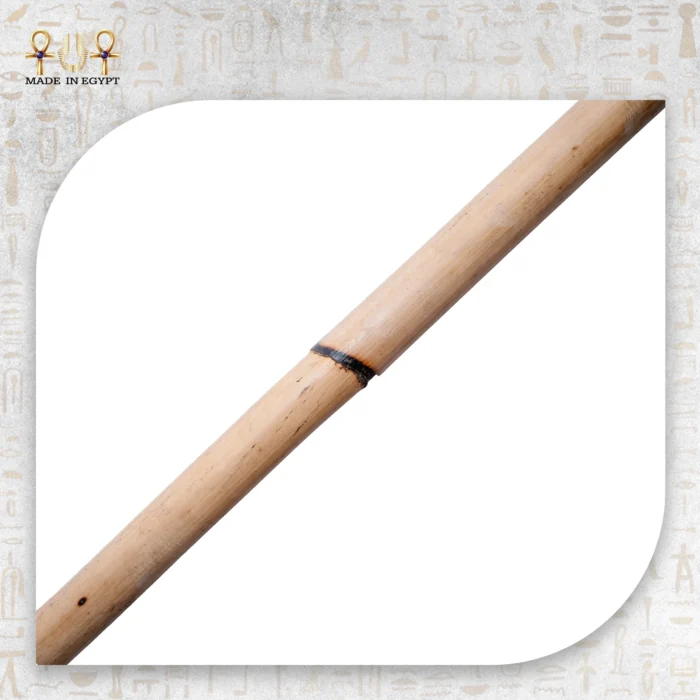 ⁦عصا نوبية⁩ - الصورة ⁦3⁩