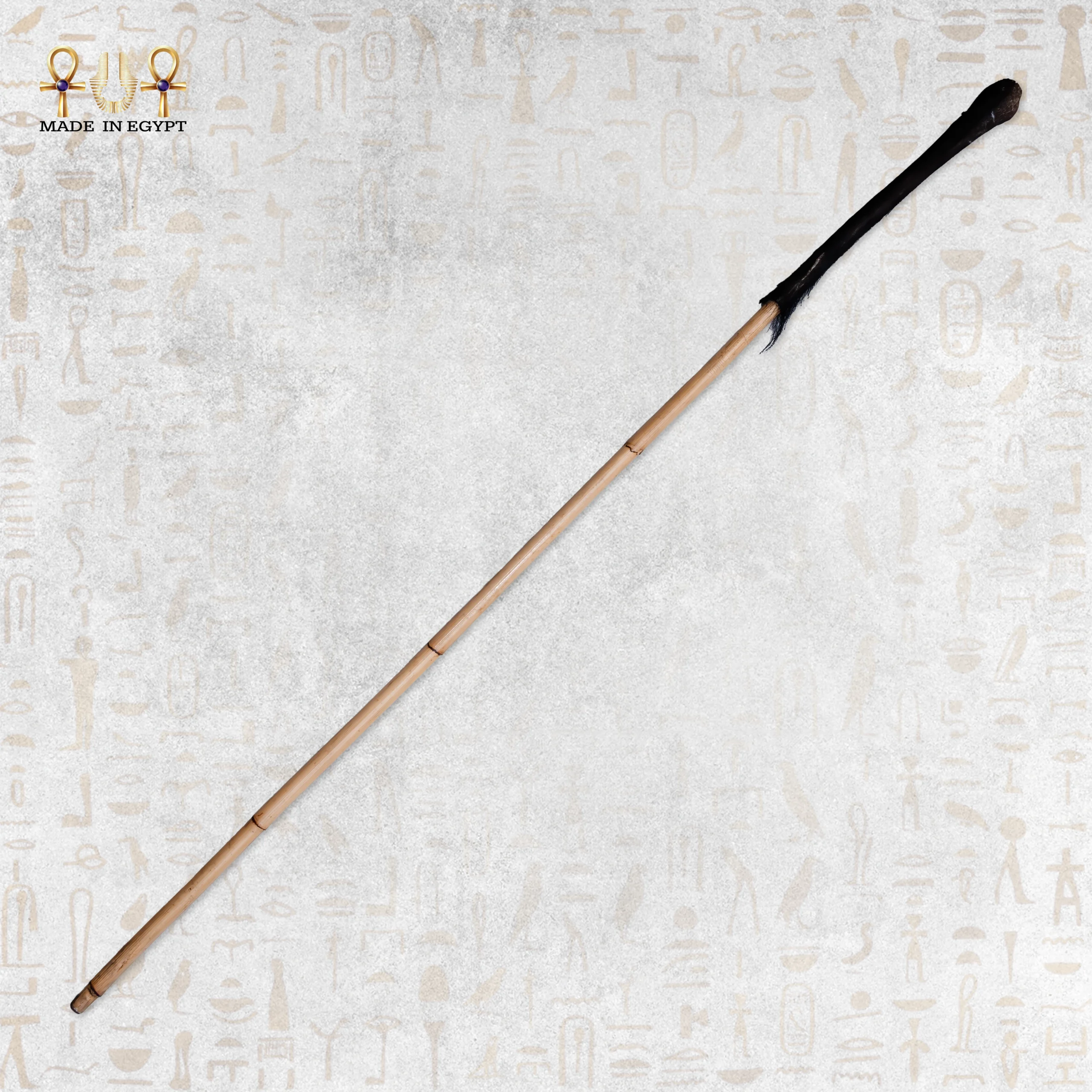 @19A Aswan Cane