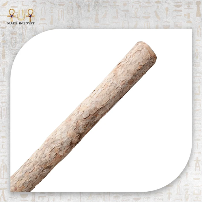 The Reed Cane - Image 2