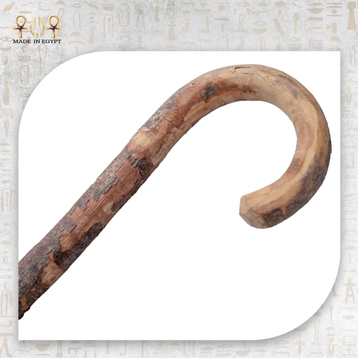 Palmwood Cane - Image 2