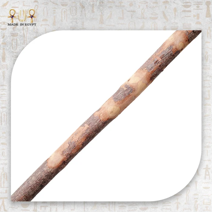 Palmwood Cane - Image 3