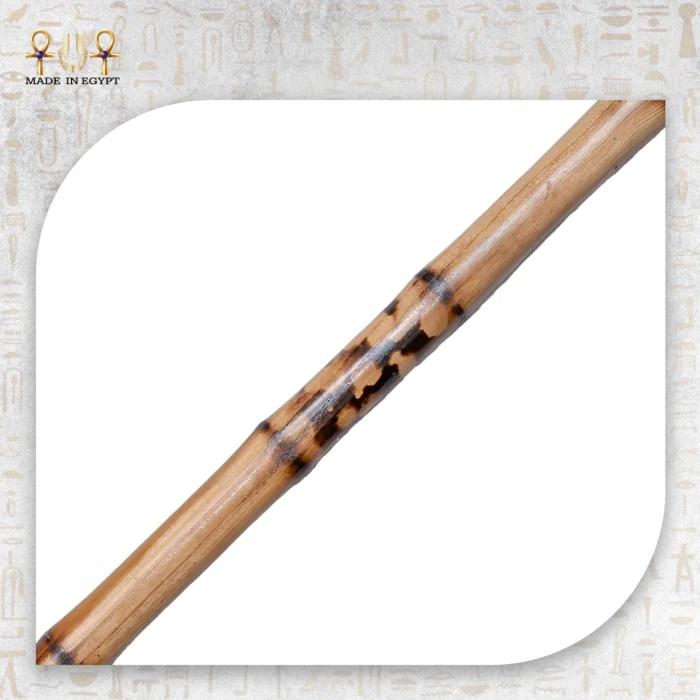 Saeedi Cane - Image 3