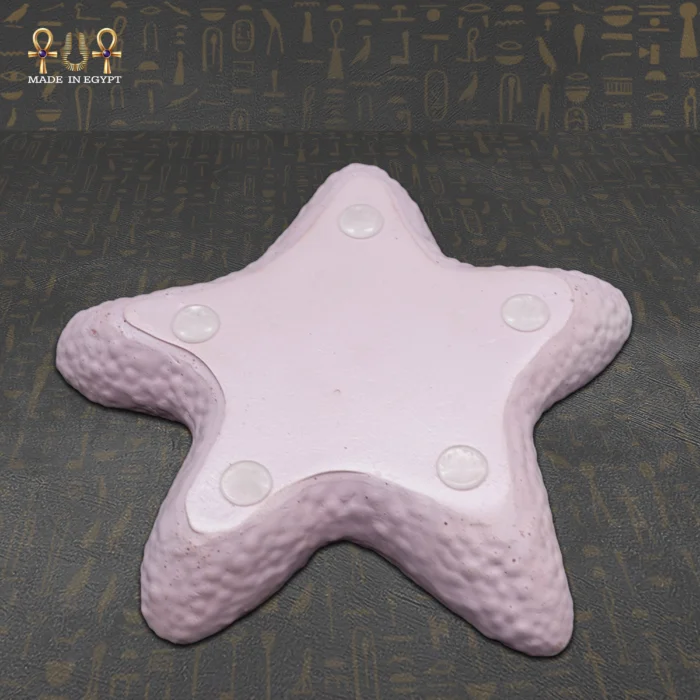 Concret Starfish Holder - Image 5