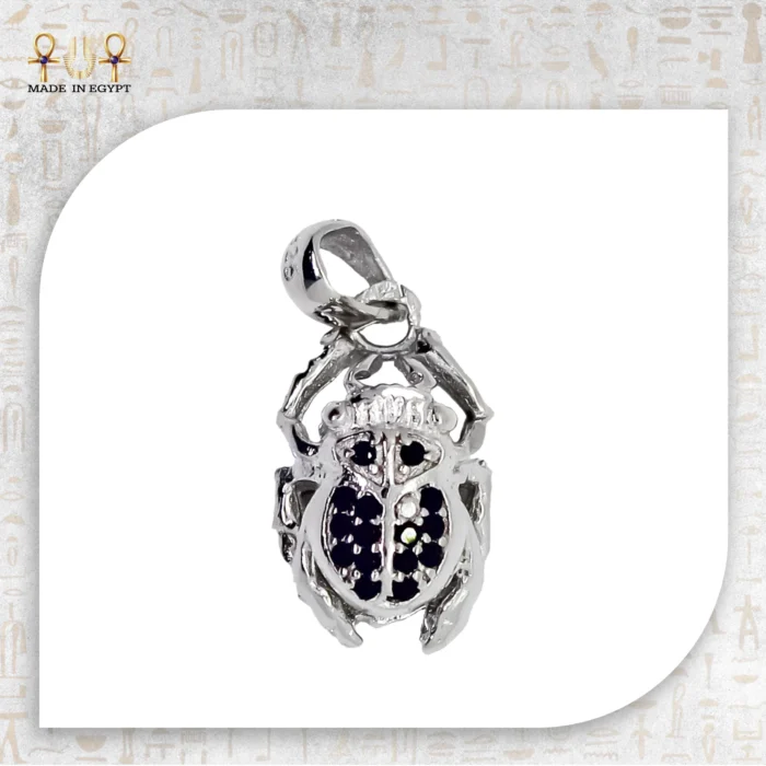 ⁦جُعران الشمس⁩ - الصورة ⁦4⁩