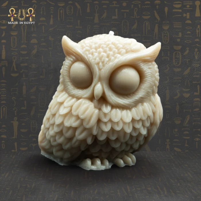 ⁦أول كاندل⁩ - الصورة ⁦1⁩