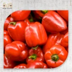 Red Bell Pepper