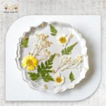 اعدة همسة الربيع