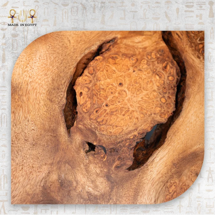 Timber Elegance - Image 6