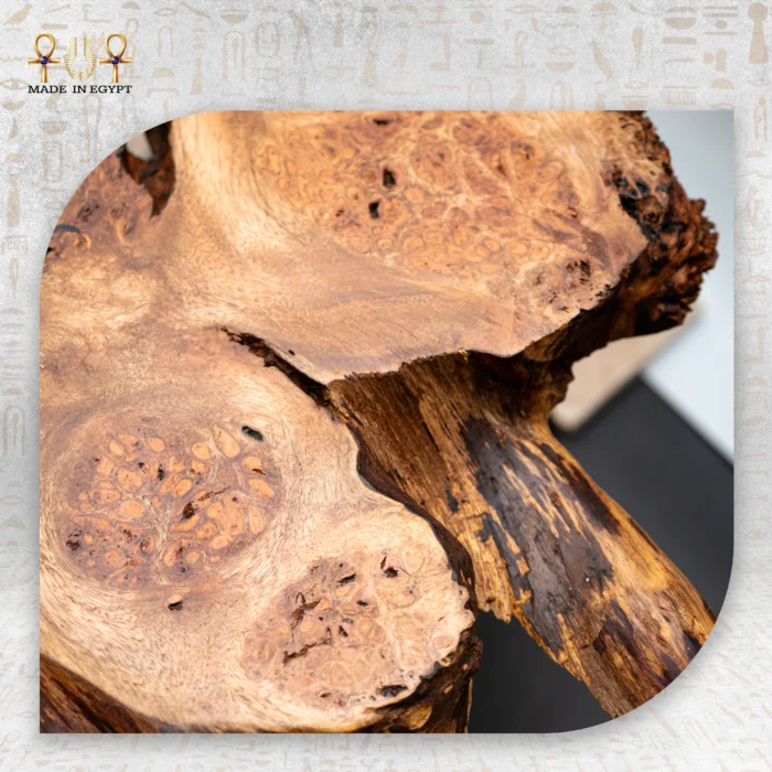 Timber Elegance - Image 2