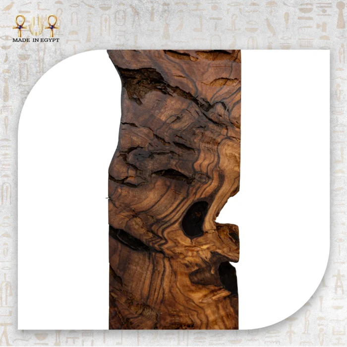 ⁦صليب الزيتون⁩ - الصورة ⁦4⁩